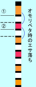 オモリベタ時のエサ落ち